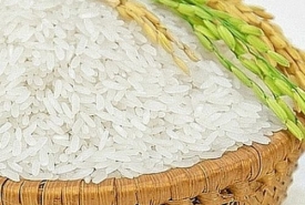 Mua gạo chất lượng tại cửa hàng gạo quận 11 - Thành Tâm