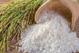 Chia sẽ kinh nghiệm mở đại lý gạo với số vốn nhỏ