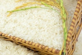 Mua gạo chất lượng tốt tại cửa hàng gạo Gò Vấp - Thành Tâm