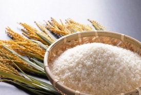 Vựa Gạo Tân Phú cung cấp gạo sạch, giá tốt - Thành Tâm