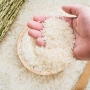 Đại lý cung cấp gạo từ thiện chất lượng giá rẻ