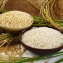 Gợi ý đại lý gạo quận 6 giá tốt uy tín