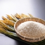 Vựa Gạo Tân Phú cung cấp gạo sạch, giá tốt - Thành Tâm